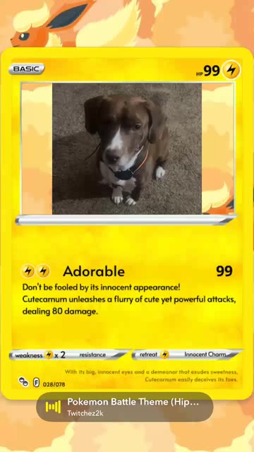 dog pokemon card maker Pokepet Made a Pokemon card for