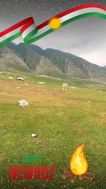 Preview for a Spotlight video that uses the happy newroz Lens