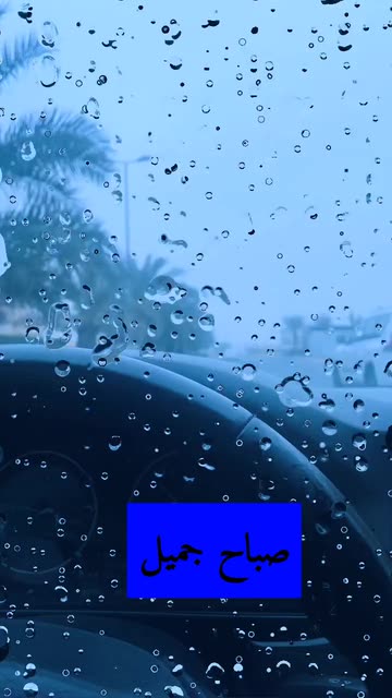 Preview for a Spotlight video that uses the RAIN Lens
