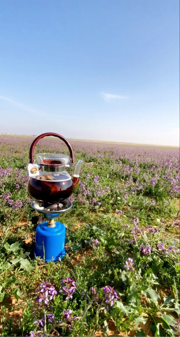 محتوى سناب شات لـ مـحمـد آل غلفيـص