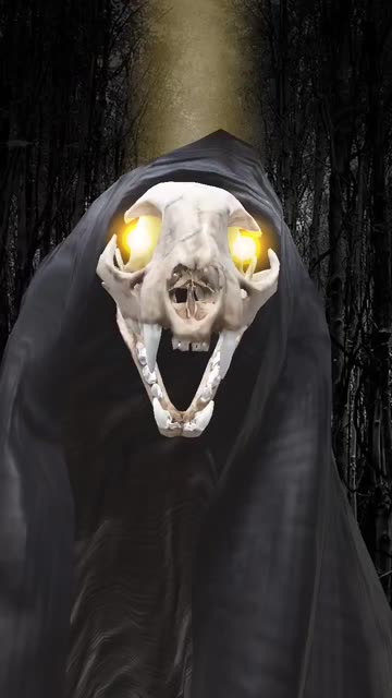 Preview for a Spotlight video that uses the Bone Wraith Lens