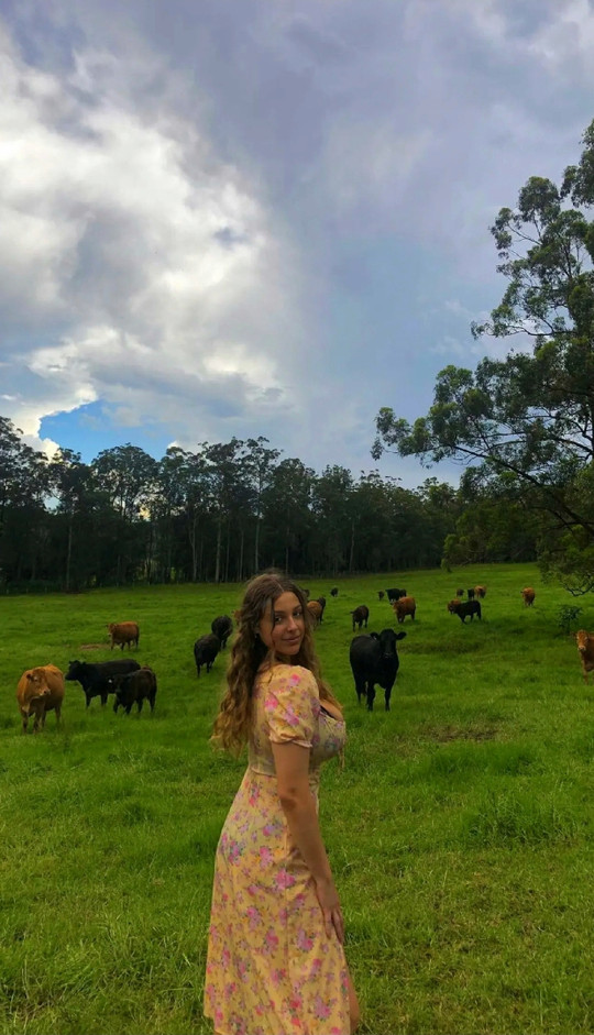 lilyjanemorgan