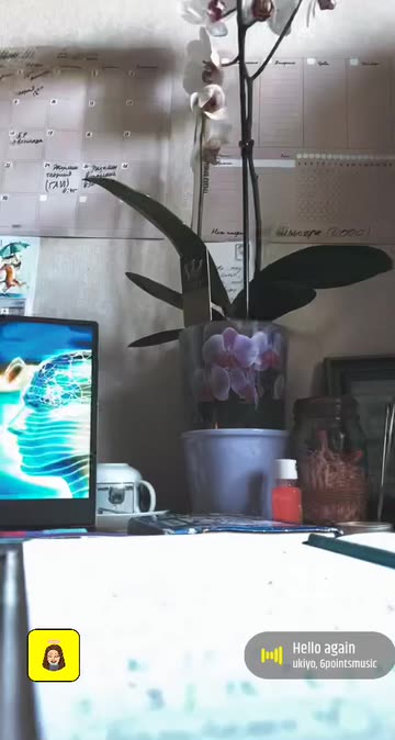 Preview for a Spotlight video that uses the Espresso Lens