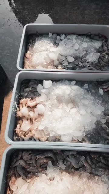 Preview for a Spotlight video that uses the mocha Lens