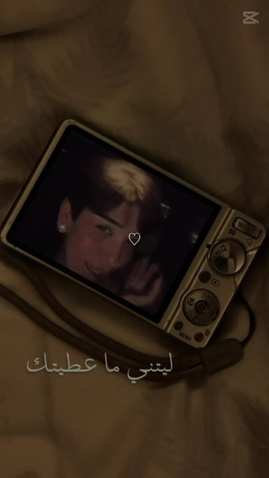 hibabouzian8545