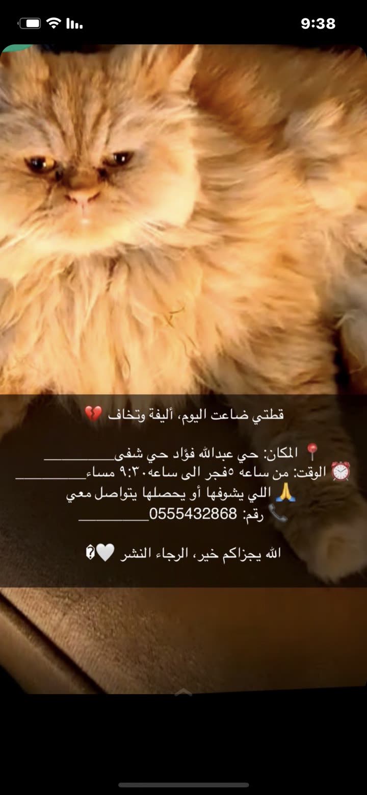 محتوى سناب شات لـ Bsoom💎