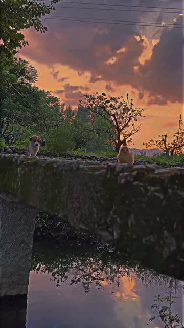 Preview for a Spotlight video that uses the HDR Night Lens