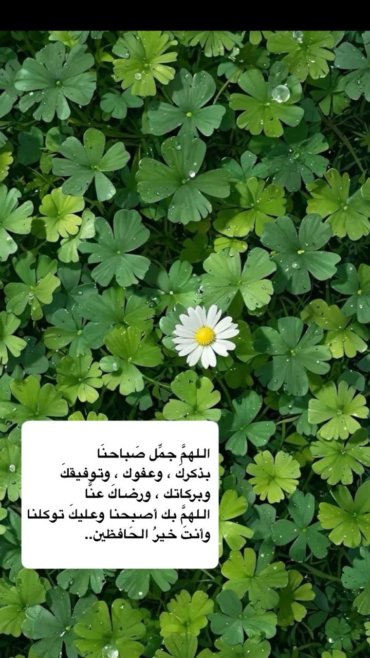 محتوى سناب شات لـ عفرا السويدي 🦋