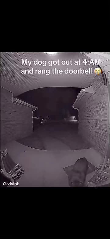 Spotlight content by a Snapchat user