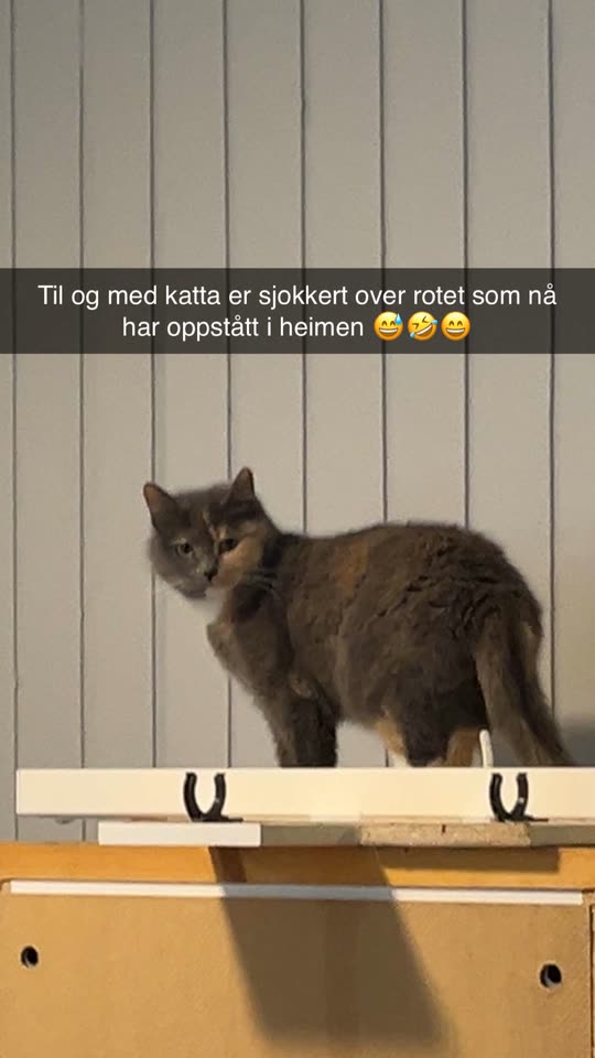 latexoglakk
