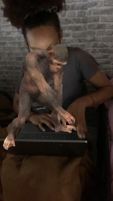 Preview for a Spotlight video that uses the Monkey Dance Lens