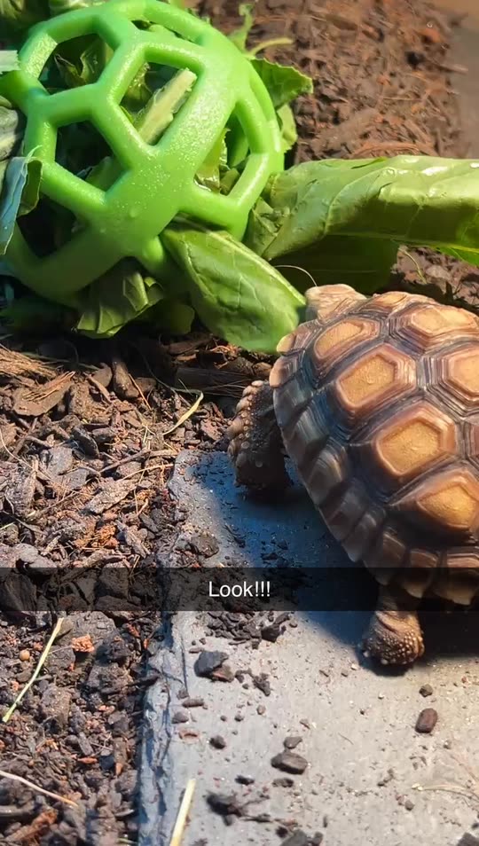 unnaturallycam