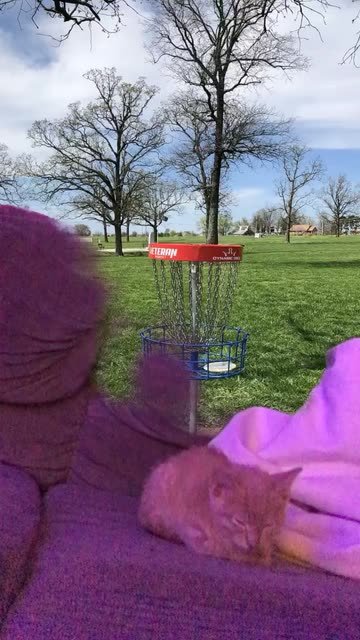 Preview for a Spotlight video that uses the KJ Disc Golf Lens