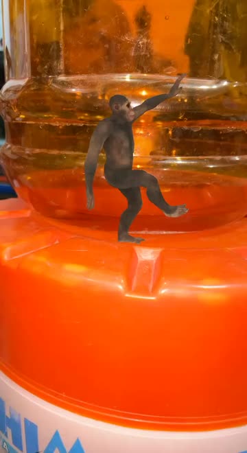 Preview for a Spotlight video that uses the monkey Dancing Lens