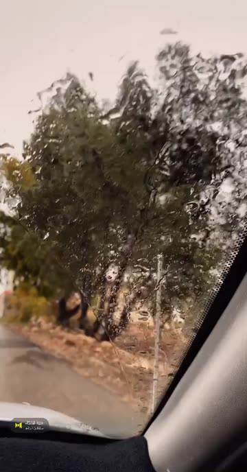 Preview for a Spotlight video that uses the 10 Lens