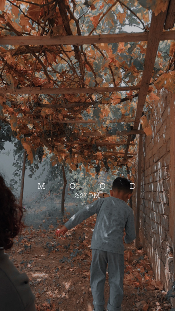 محتوى سناب شات لـ T💍G
