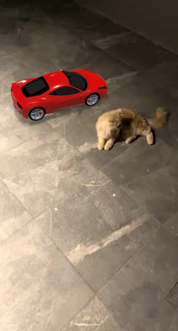 Preview for a Spotlight video that uses the RC Ferrari Lens