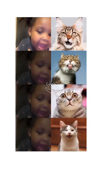 Preview for a Spotlight video that uses the Cat Match Lens