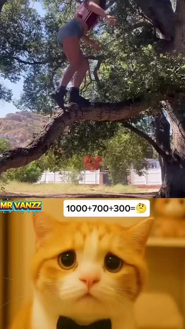 Moa