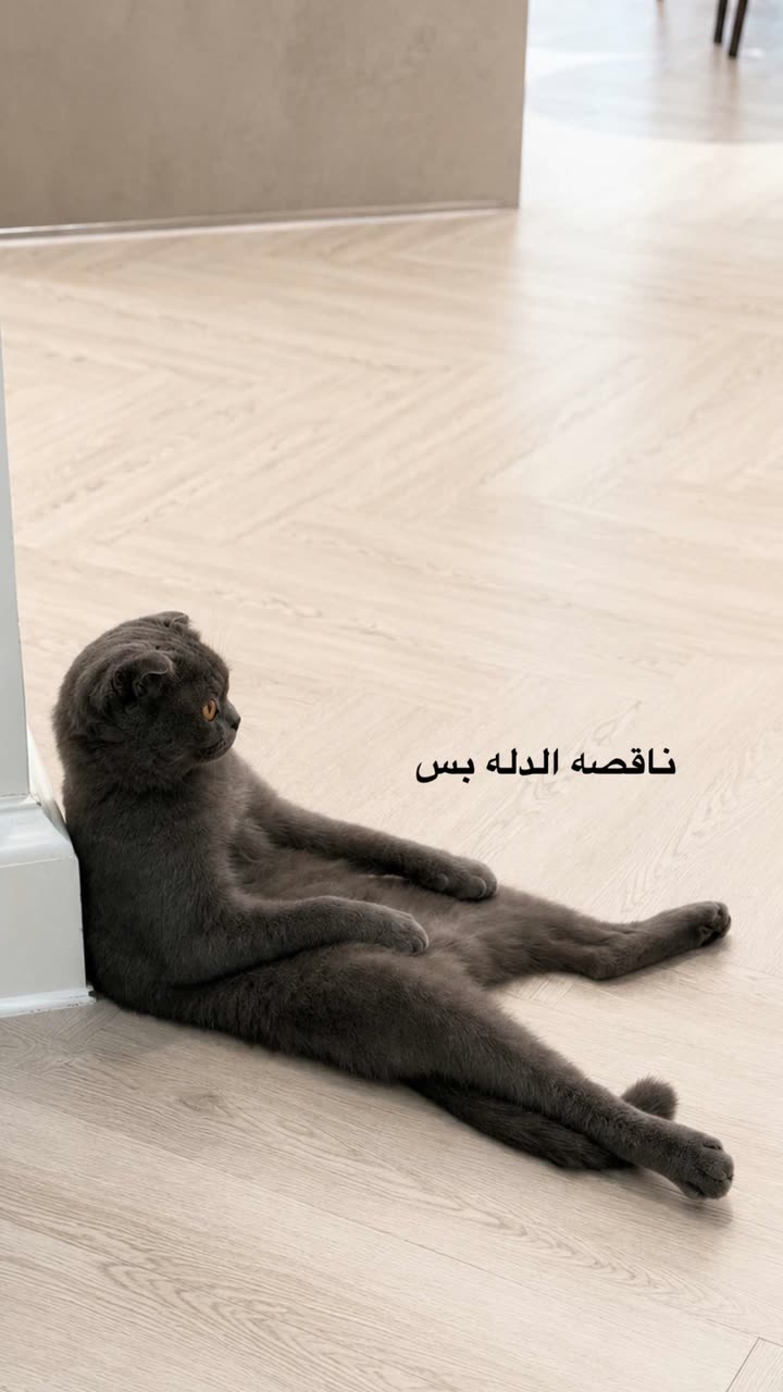 محتوى سناب شات لـ عفرا السويدي 🦋