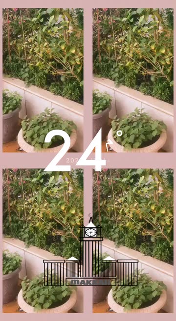 Preview for a Spotlight video that uses the pink tile Lens