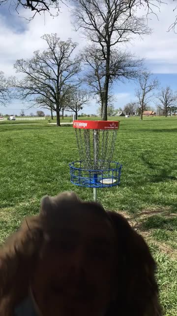 Preview for a Spotlight video that uses the KJ Disc Golf Lens