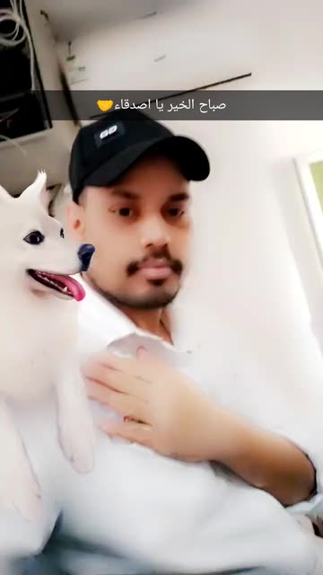 Preview for a Spotlight video that uses the Cutest Dog Lens