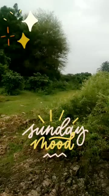 Preview for a Spotlight video that uses the Sunday Mood Lens