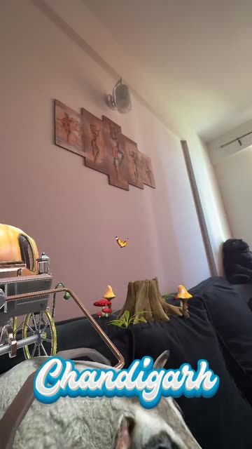 Preview for a Spotlight video that uses the Cinderella Lens