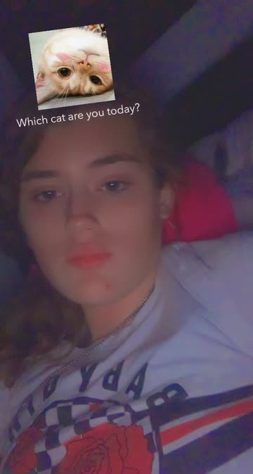 Preview for a Spotlight video that uses the Cat's Mood Lens