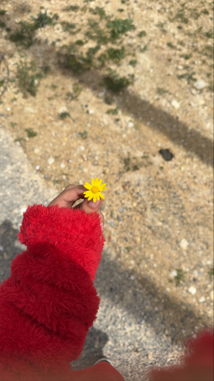 قصة سناب شات للحساب r_efan45 رقم 353