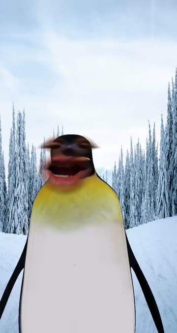 Preview for a Spotlight video that uses the Penguin Lens