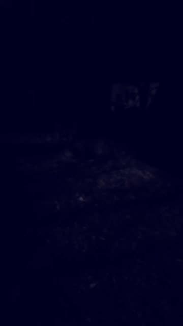 Preview for a Spotlight video that uses the GOOBA RAP ANIMALS Lens