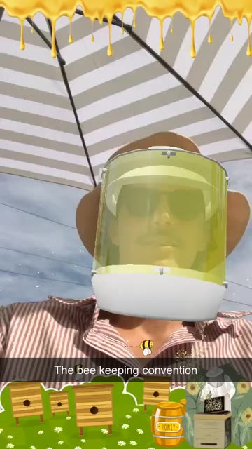 Preview for a Spotlight video that uses the Bee keeper Lens