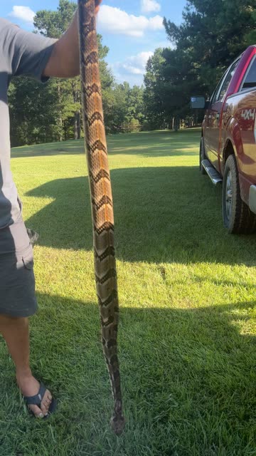 Wesson The Bayou Boy