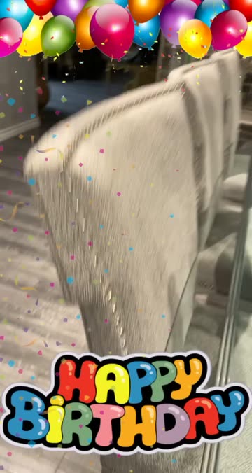 Preview for a Spotlight video that uses the Birthday Lens