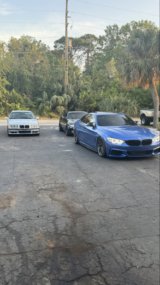 q50.steven