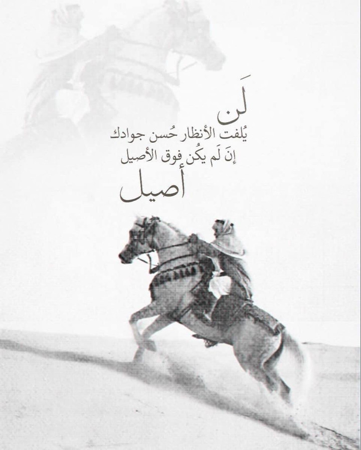 محتوى سناب شات لـ 🪽w🪽