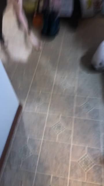 Preview for a Spotlight video that uses the You Died Lens
