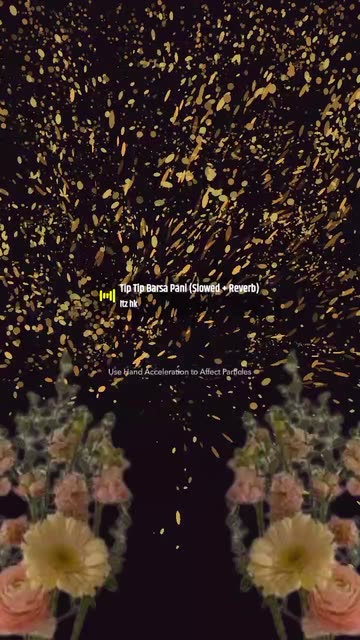 Preview for a Spotlight video that uses the Flowerlay Lens
