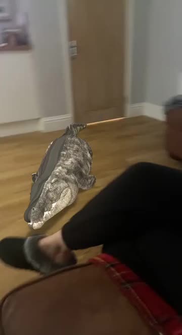Preview for a Spotlight video that uses the Crocodile Lens