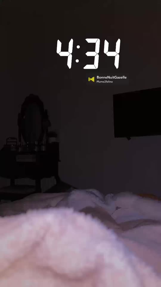 plume2feline