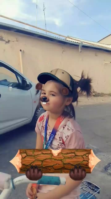 Preview for a Spotlight video that uses the Beaver Fever Lens