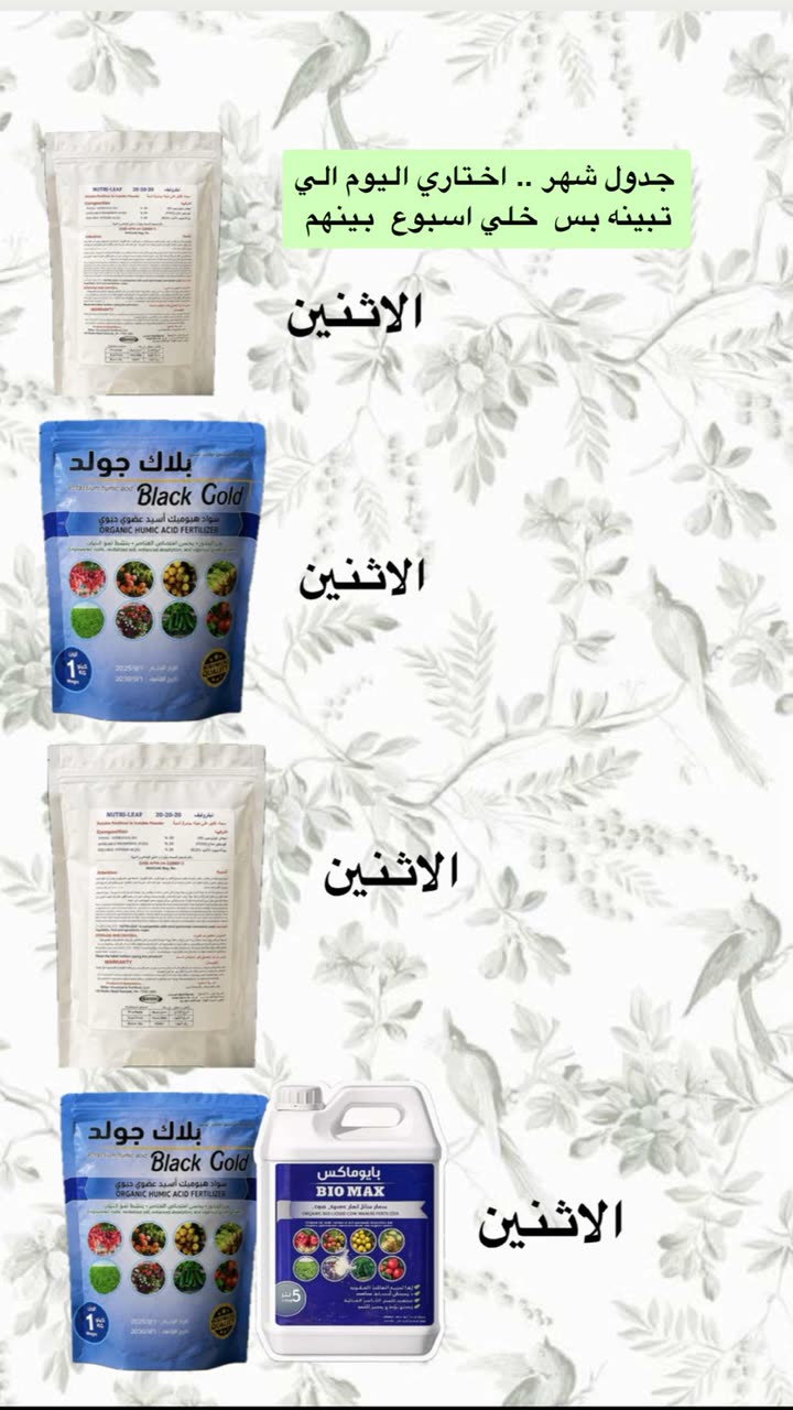 محتوى سناب شات لـ عفرا السويدي 🦋
