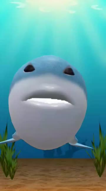 Preview for a Spotlight video that uses the Happy Shark Lens