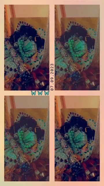 Preview for a Spotlight video that uses the Butterflies Collage 🦋 Lens