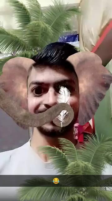Preview for a Spotlight video that uses the Haathi mere Saathi Lens
