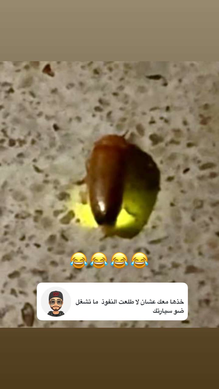 قصة سناب شات للحساب b3der_12 رقم 875