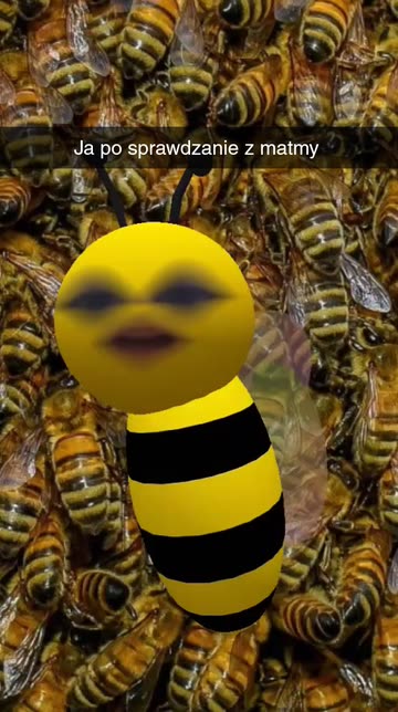Preview for a Spotlight video that uses the cute bee Lens