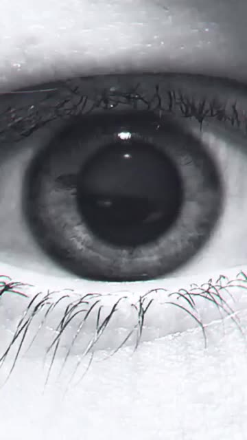 Preview for a Spotlight video that uses the Reflection Lens